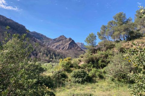 Landejendom i El Perello, Tarragona, El Perello - € 36.000 | Ref: Finca Montanas - foto 39